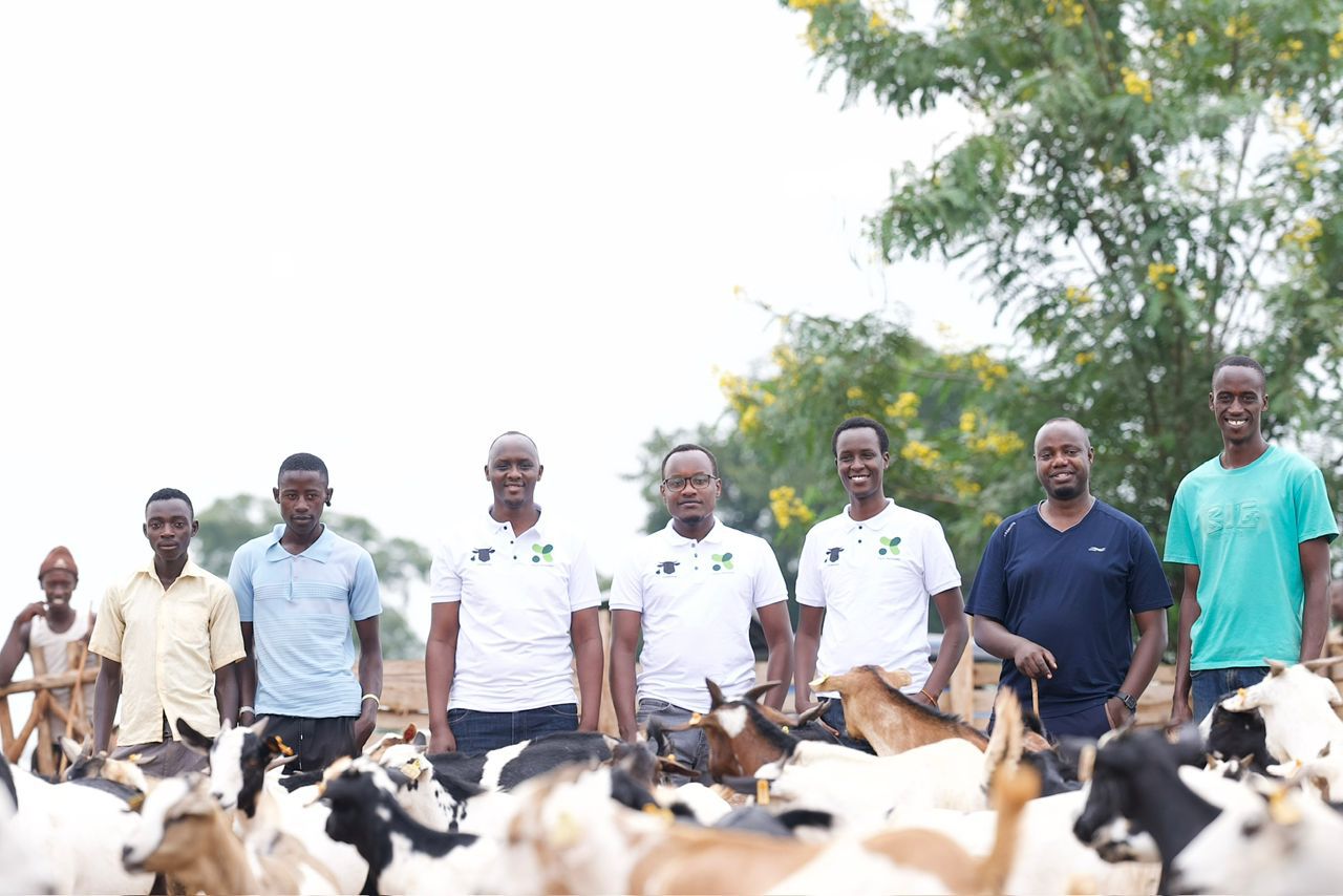 Farm Remotely technology deployment